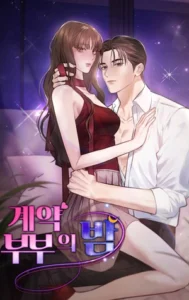 La noche de nuestro matrimonio por contrato