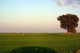 ¿Me converti en un maestro en un mundo de artes marciales despues de cambiar de dimension?