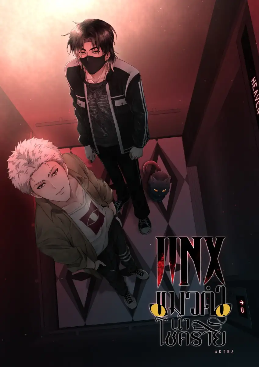 JINX, el gato negro trae mala suerte